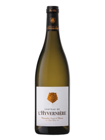 AOP MUSCADET SEVRE ET MAINE CHATEAU DE L HYVERNIERE